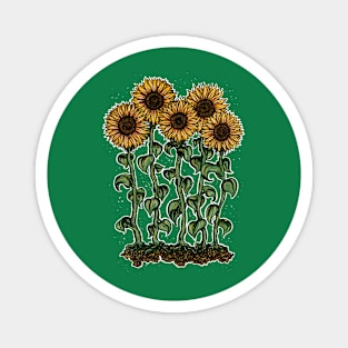 Sunflowers Magnet